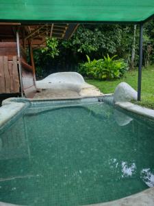 a swimming pool with a green awning over it at Eco Lodge&Farm Rustic Roots Reserve in Drake