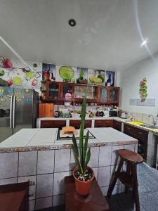Fotografie z fotogalerie ubytování Sarisa House v destinaci Iquitos