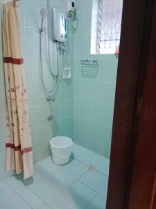 a bathroom with a shower with a toilet in it at Hotel Titanic in Basdiot