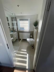 a bathroom with a toilet and a sink and a mirror at Ferienwohnungen mitten in Hamburg in Hamburg +40 photos