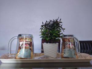 deux bocaux en verre sur un plateau avec une plante en pot dans l'établissement Jerai Geopark Cottage Song Song, à Kampong Permatang Serentang 16 autres photos