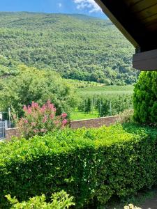 una vista de un campo desde una casa en Casa Sally, en San Michele allʼAdige