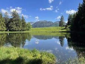 Galeriebild der Unterkunft Un spacieux et confortable châlet in Châtel-Saint-Denis