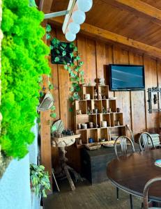 a room with a table and chairs and a television at Penzion Axiom in Frymburk