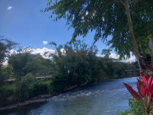 a river with trees on the side of it at Pondok Anugerah in Rantepao +3 photos