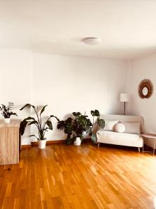 a living room with a white couch and potted plants at La Puerta de Viana, con desayuno, piscina y posibilidad Visita a bodega! in Viana