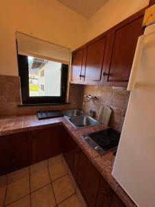 Kuchyň nebo kuchyňský kout v ubytování Appartement Sonnenblume - Haus Kärnten