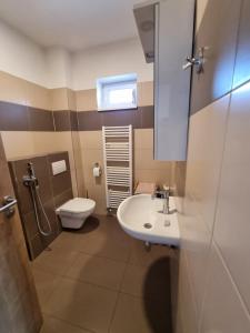 a bathroom with a white sink and a toilet at Apartmány Moravia in Milovice