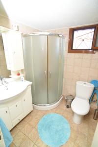 a bathroom with a shower and a toilet and a sink at Villa Erato in Kineta +24 photos