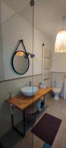 a bathroom with a sink and a mirror and a toilet at GITE DE MIRAUVILLE in Apremont-la-Forêt +31 photos