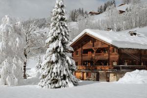 domek z bali w śniegu z choinką świąteczną w obiekcie La Ferme du Var w mieście Clusaz