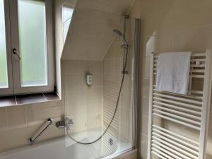 Koupelna v ubytování Eisberg Hotel Schwanen
