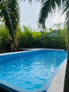La alberca dentro o cerca de Phi Phi Little Star Resort