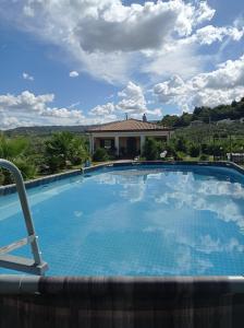 圣塔马里亚迪卡斯特B&B Le Rose的房子前面的一个大游泳池