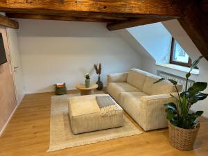 a living room with a couch and a table at Erholungsloft in Bad Buchau +8 photos