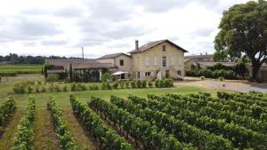 圣艾米隆Château Vieux Clos Saint Émilion的农庄,农庄
