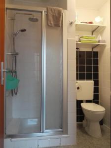 a bathroom with a shower and a toilet at Ferienwohnung Unter der Limburg in Bad Dürkheim-Hausen in Bad Dürkheim +6 photos