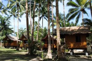 a group of houses with palm trees at Ocam Ocam Mission Inn and Ocean-View Cottages in New Busuanga
