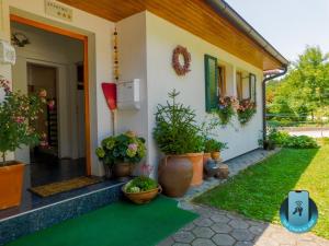 a house with potted plants on the side of it at Vali's Paradise in Ptuj
