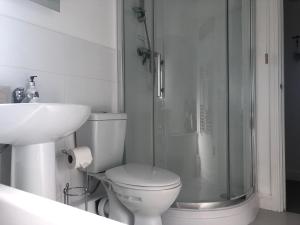 a bathroom with a shower and a toilet and a sink at Bay House Lundy Port Isaac Apartment with Sea Views & Parking in Port Isaac +36 photos