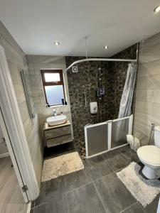 a bathroom with a shower and a sink and a toilet at The Cozy Retreat in Hyde Park