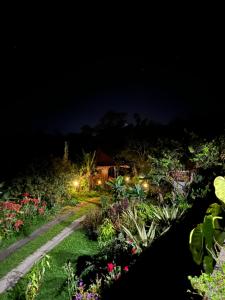 Um jardim no exterior de Manigelang Villa