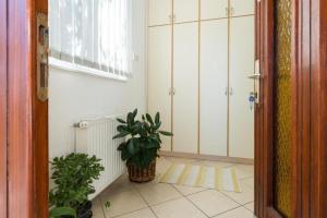Fotografie z fotogalerie ubytování Apartment Zeljka v destinaci Sumpetar