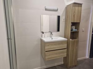 马斯梅赫伦Flowerhouse的浴室里有洗手池和镜子