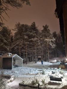 Apartman DETLIĆ Divčigora a l'hivern