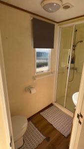 a bathroom with a toilet and a shower and a window at Coastal Caravan in Solva in Haverfordwest
