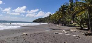 a sandy beach with palm trees and the ocean at Bungalow JOK'MI in Pointe-Noire