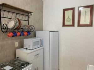 Η κουζίνα ή μικρή κουζίνα στο Ap Aconchegante Catanduva II