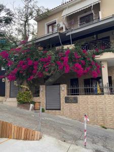 Gallery image of MarGio Skiathos Apartments in Skiathos Town