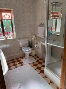 a bathroom with a toilet and a sink and a shower at The School House, Ironbridge in Ironbridge +9 photos