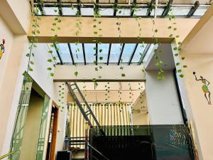 Foto sihtkohas Mysore asuva majutusasutuse Beedu - Backpackers Hostel galeriist