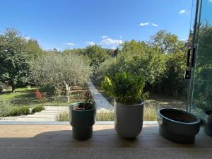 Zahrada ubytování Bert apartman
