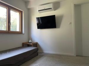 TV a/nebo společenská místnost v ubytování Bert apartman