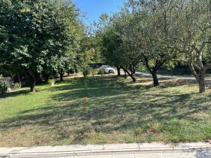 Zahrada ubytování Bert apartman