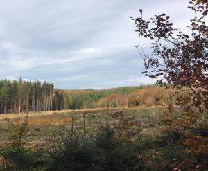 Paesaggio naturale nelle vicinanze della stanza in casa privata