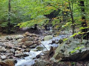 Paesaggio naturale nelle vicinanze della stanza in casa privata