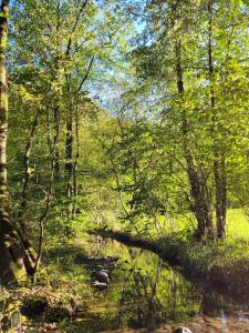 Paesaggio naturale nelle vicinanze della stanza in casa privata