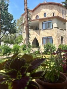 Zahrada ubytování Casalita Hotel