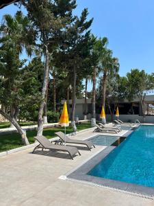 Bazén v ubytování Casalita Hotel nebo v jeho okolí