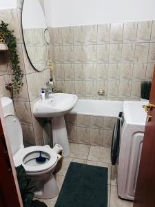 Koupelna v ubytování Apartament Zamca - langa Regina Maria