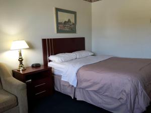 布兰登殖民旅馆的一间带床、灯和椅子的酒店房间