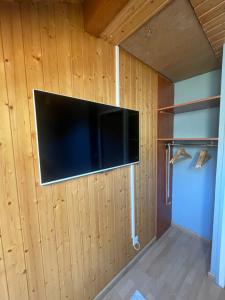 TV a/nebo společenská místnost v ubytování Appartement entre lac et montagnes