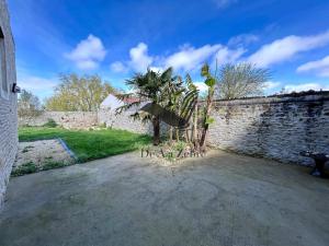 a palm tree sitting next to a stone wall at Le Nid Marin - Spacieuse maison avec jardin in Moëze