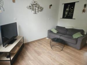 a living room with a couch and a flat screen tv at Appart T2 avec cour in Tours +3 photos