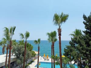 Bazén v ubytování Casalita Hotel nebo v jeho okolí