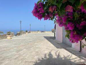 a walkway with purple flowers hanging from a building at Residenza Matilde in Fiumefreddo Bruzio